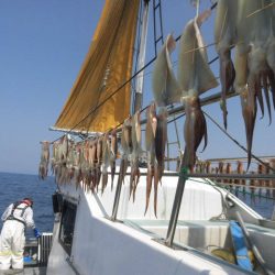 大進丸（愛知） 釣果