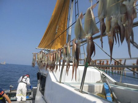 大進丸（愛知） 釣果