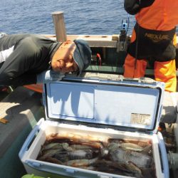 大進丸（愛知） 釣果