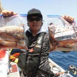 大進丸（愛知） 釣果