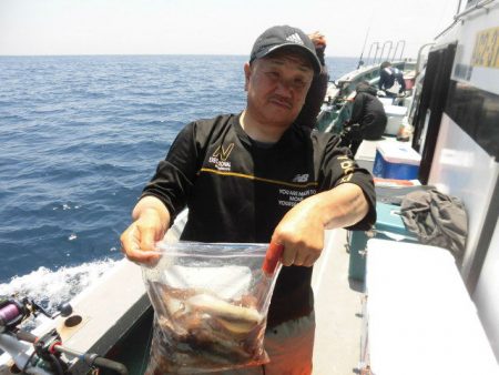 大進丸（愛知） 釣果