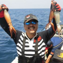 大進丸（愛知） 釣果