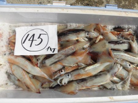 大進丸（愛知） 釣果