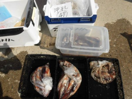 大進丸（愛知） 釣果