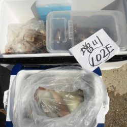 大進丸（愛知） 釣果