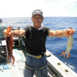 大進丸(愛知) 釣果