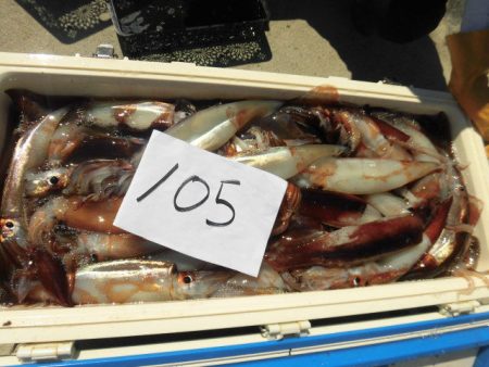 大進丸(愛知) 釣果