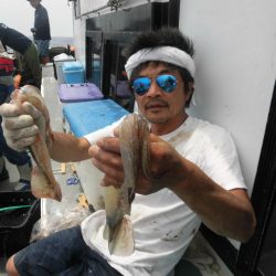 大進丸（愛知） 釣果