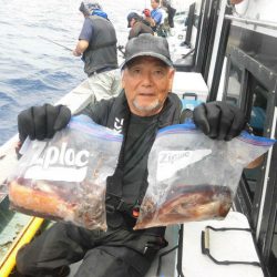 大進丸（愛知） 釣果