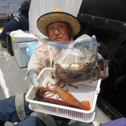 大進丸（愛知） 釣果