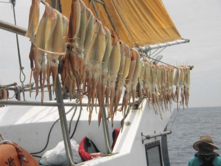 大進丸（愛知） 釣果