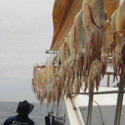 大進丸（愛知） 釣果