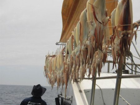 大進丸（愛知） 釣果