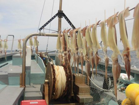 大進丸（愛知） 釣果