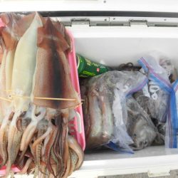 大進丸（愛知） 釣果