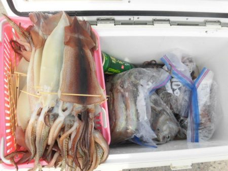 大進丸（愛知） 釣果