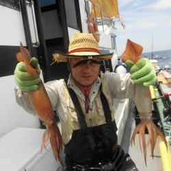 大進丸(愛知) 釣果