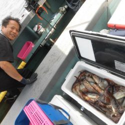 大進丸(愛知) 釣果