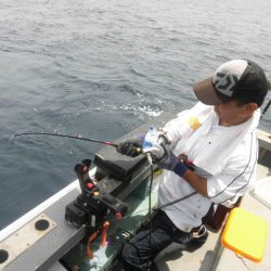 大進丸(愛知) 釣果