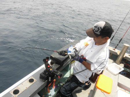 大進丸(愛知) 釣果