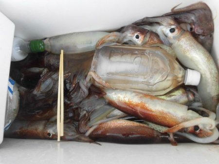 大進丸(愛知) 釣果