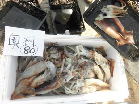 大進丸(愛知) 釣果