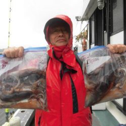 大進丸（愛知） 釣果