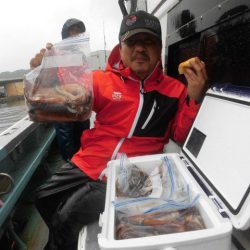 大進丸（愛知） 釣果