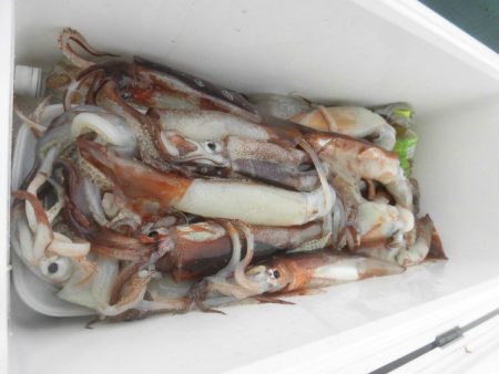 大進丸（愛知） 釣果