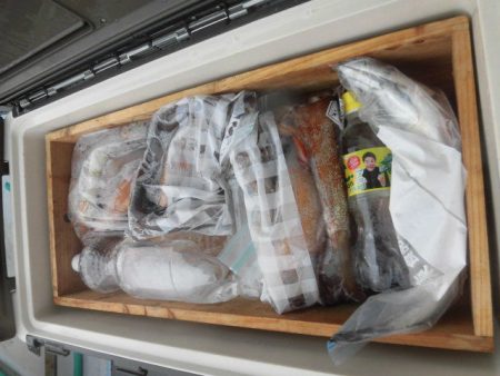 大進丸（愛知） 釣果