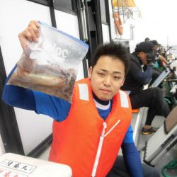 大進丸（愛知） 釣果