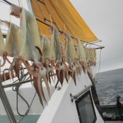 大進丸（愛知） 釣果