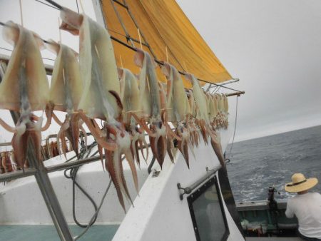 大進丸（愛知） 釣果