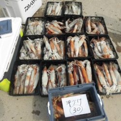 大進丸（愛知） 釣果