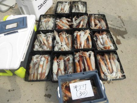 大進丸（愛知） 釣果