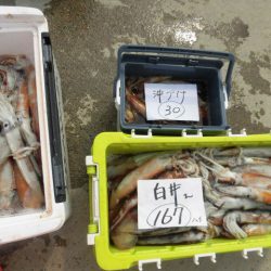 大進丸（愛知） 釣果