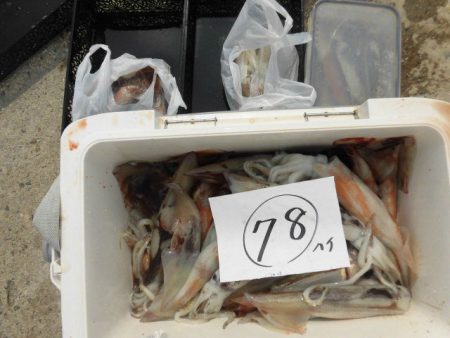 大進丸（愛知） 釣果