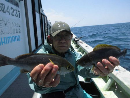 大進丸（愛知） 釣果