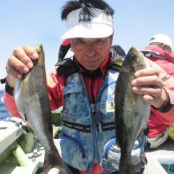 大進丸（愛知） 釣果