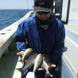 大進丸（愛知） 釣果