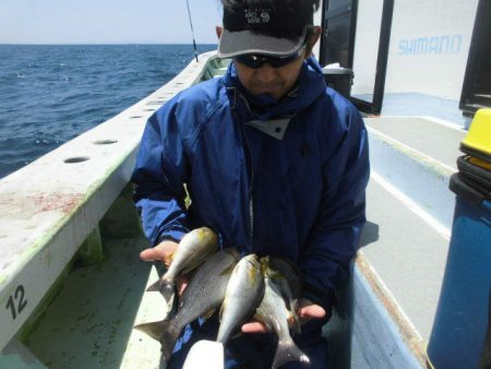 大進丸（愛知） 釣果