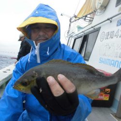 大進丸（愛知） 釣果