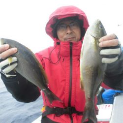 大進丸（愛知） 釣果