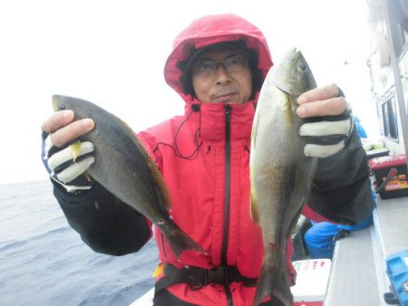 大進丸（愛知） 釣果