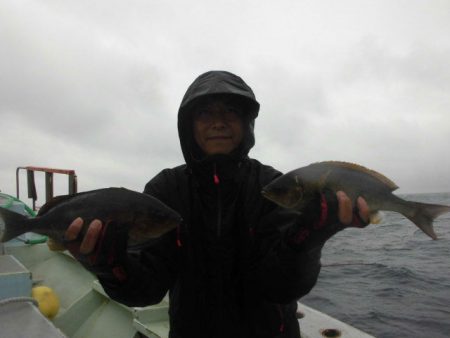 大進丸（愛知） 釣果