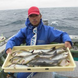 大進丸（愛知） 釣果