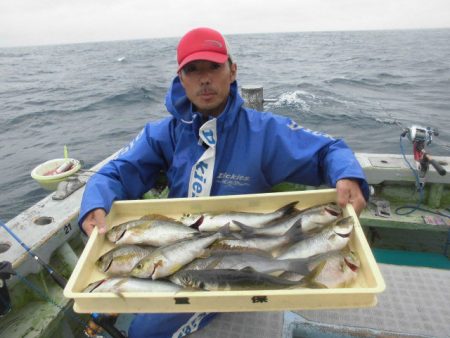 大進丸（愛知） 釣果