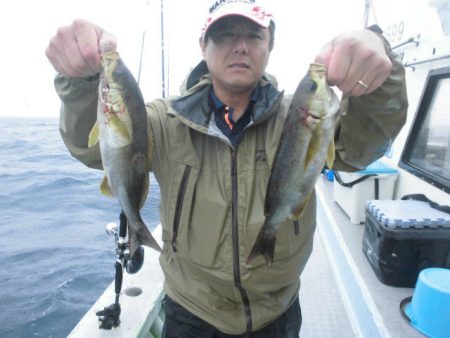 大進丸（愛知） 釣果