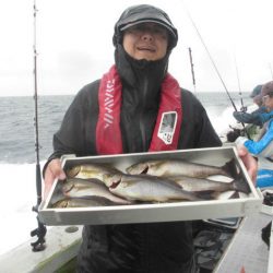 大進丸（愛知） 釣果