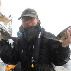 大進丸（愛知） 釣果